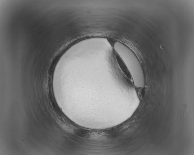 X0000082160346200702162240