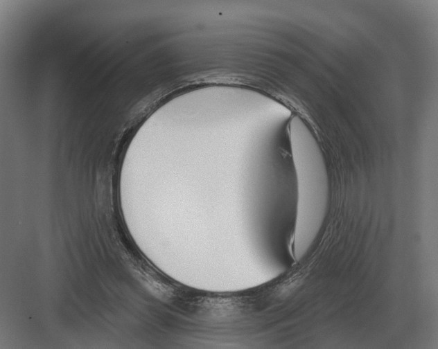 X0000082160349200702162240