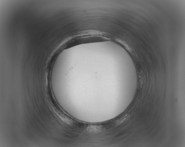 X0000082160350200702162240