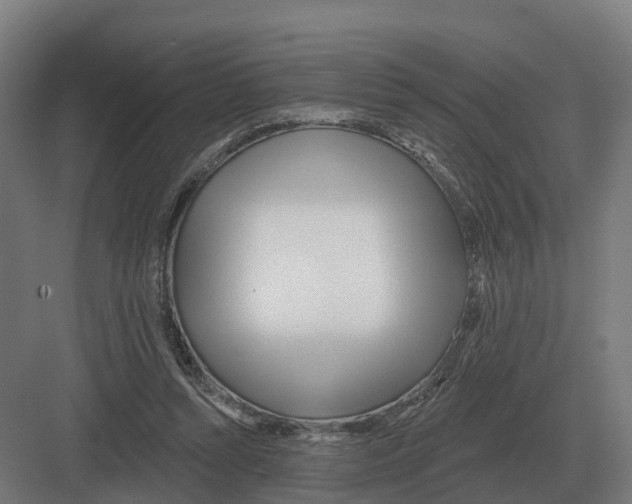 X0000082160352200702162240