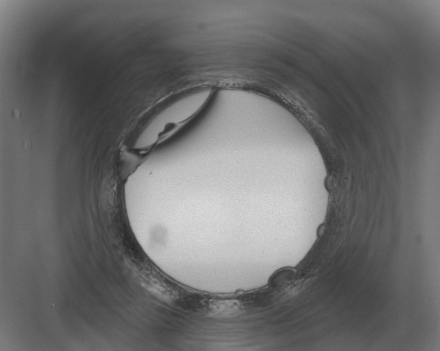 X0000082160355200702162240