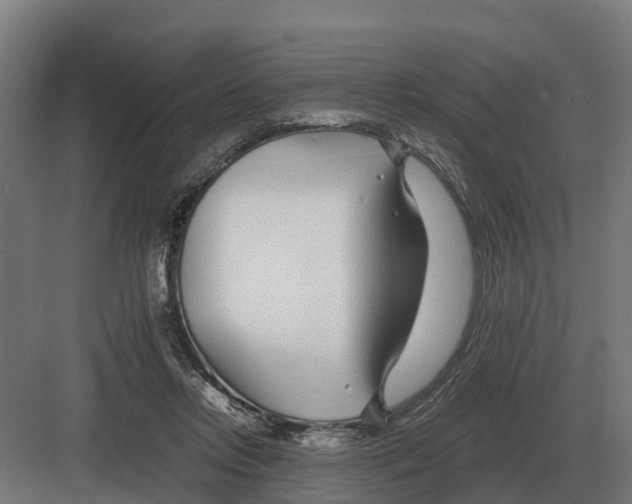 X0000082160358200702162240