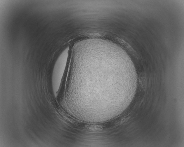 X0000082160359200702162240