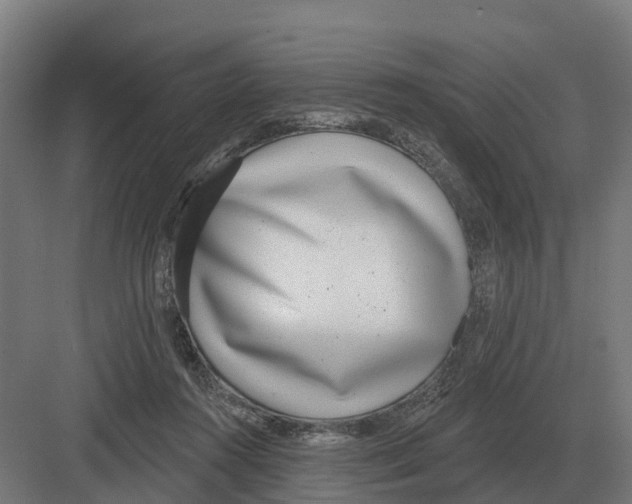 X0000082160360200702162240