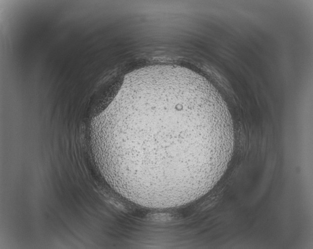 X0000082160361200702162240