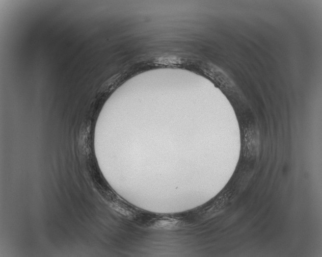 X0000082160364200702162240