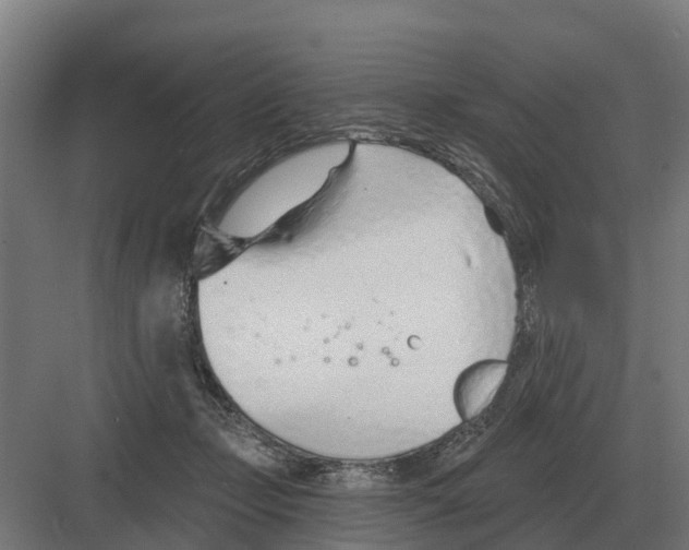 X0000082160365200702162240