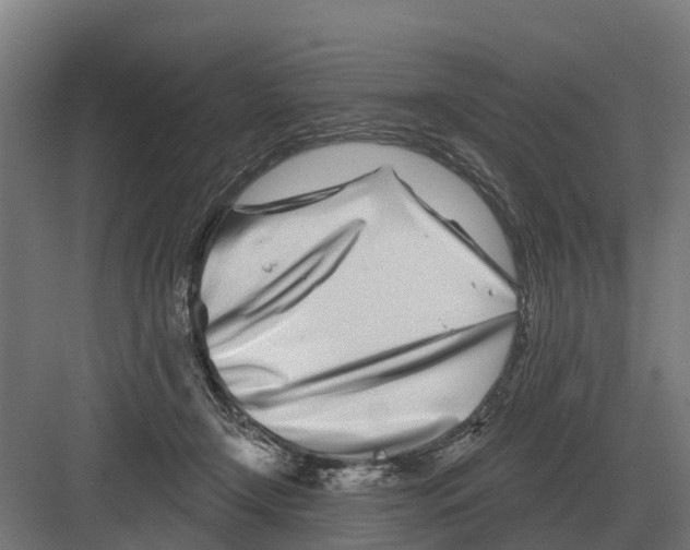 X0000082160366200702162240