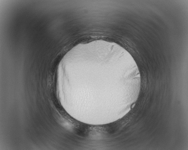 X0000082160367200702162240