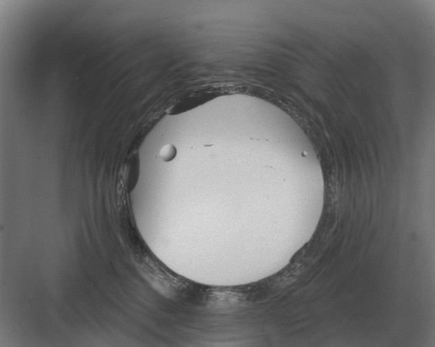 X0000082160376200702162240