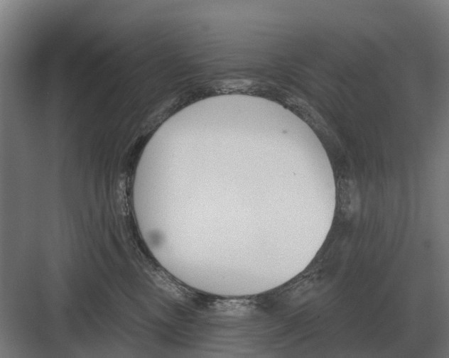 X0000082160378200702162240