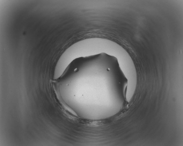 X0000082160382200702162241