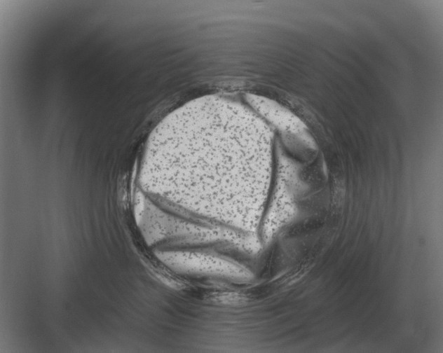 X0000082160383200702162241