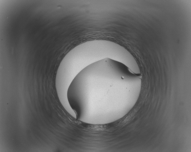 X0000082160384200702162241