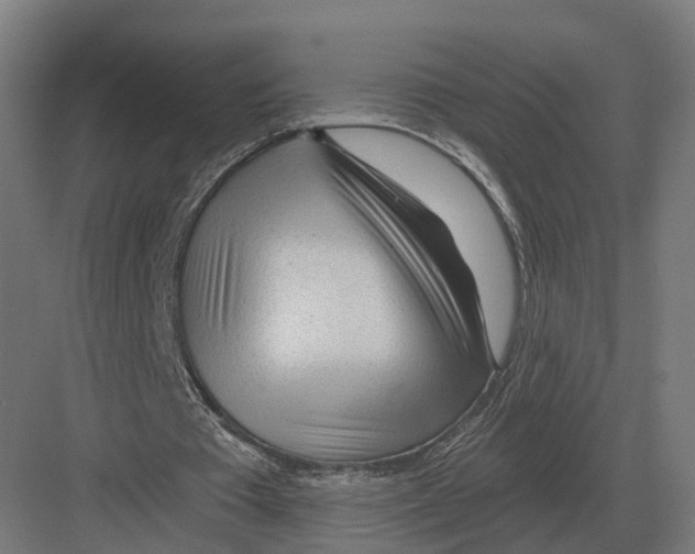 X0000082160385200702162240