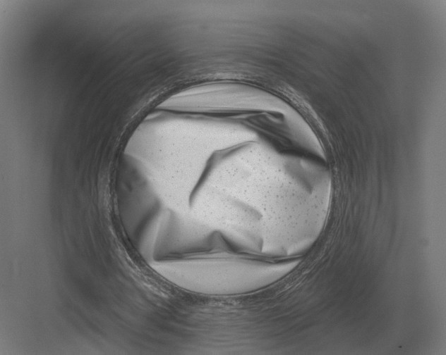 X0000082160386200702162240