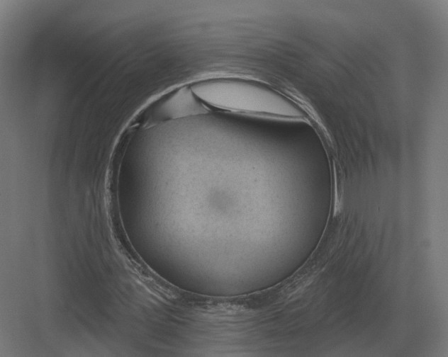 X0000082160387200702162240