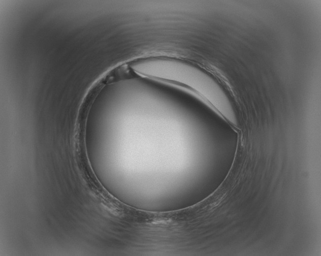 X0000082160388200702162240