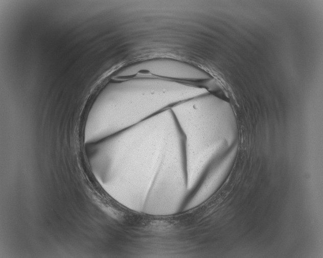 X0000082160390200702162240