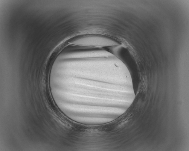 X0000082160392200702162240