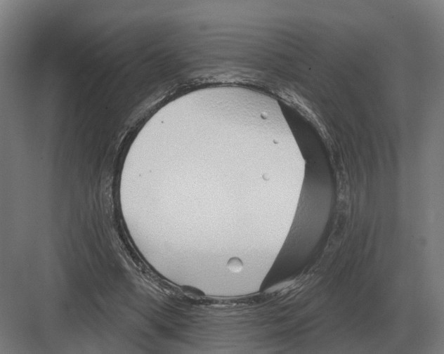 X0000082160394200702162240