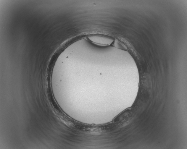 X0000082160395200702162240