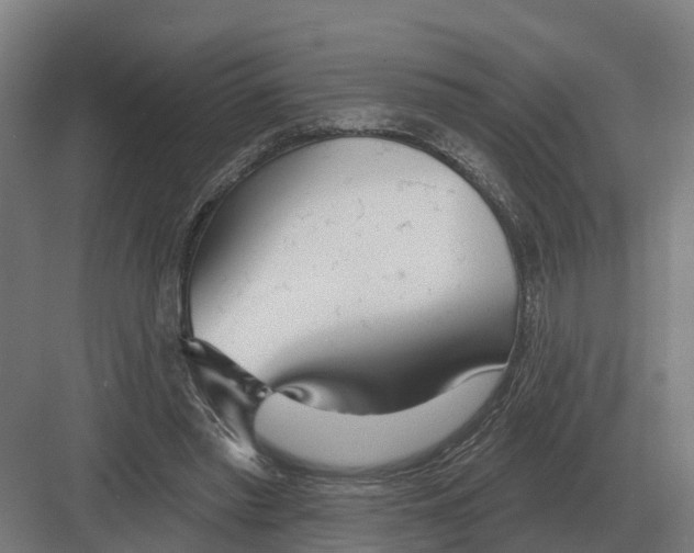 X0000082160397200702162240