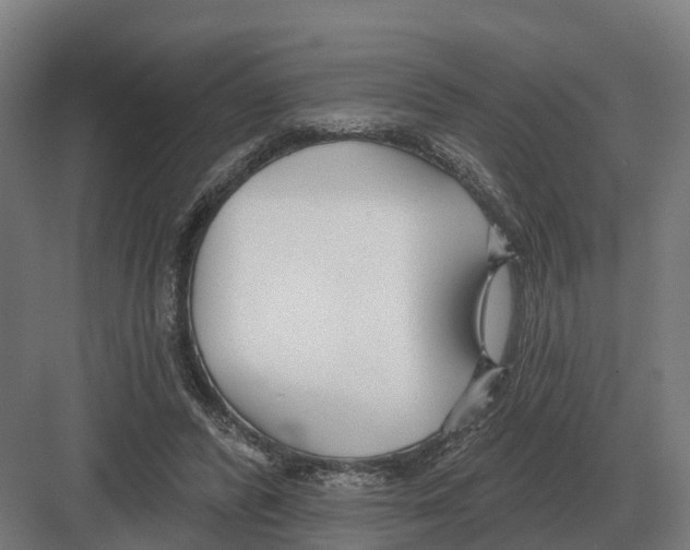 X0000082160400200702162240