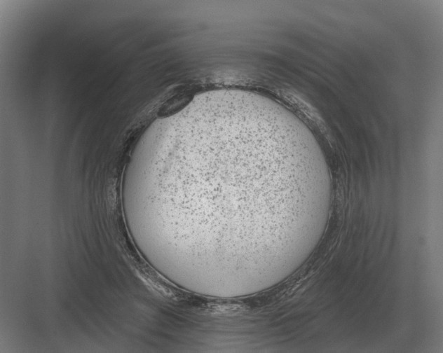 X0000082160401200702162240