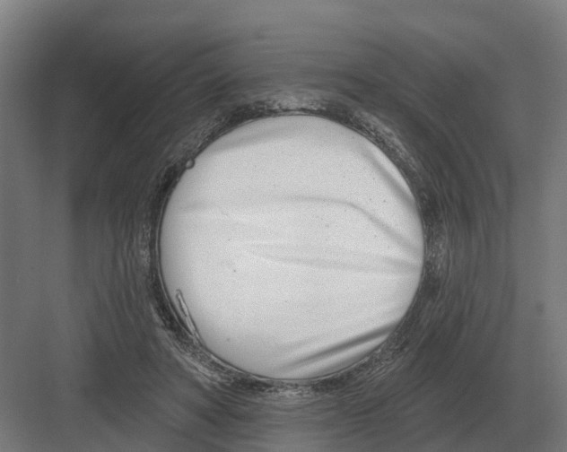 X0000082160402200702162240