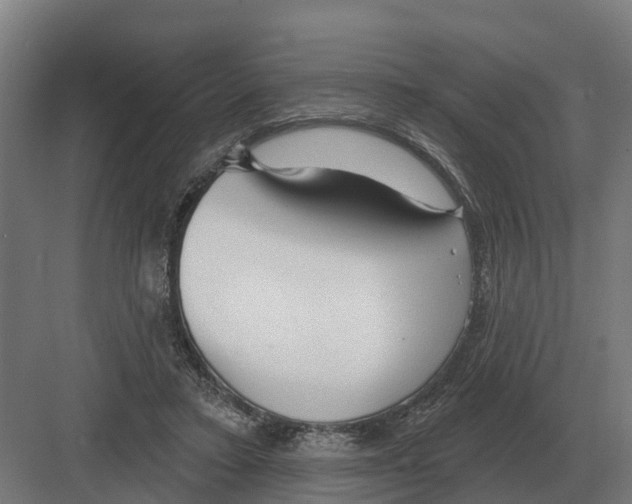 X0000082160403200702162239