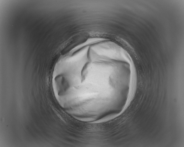 X0000082160405200702162239