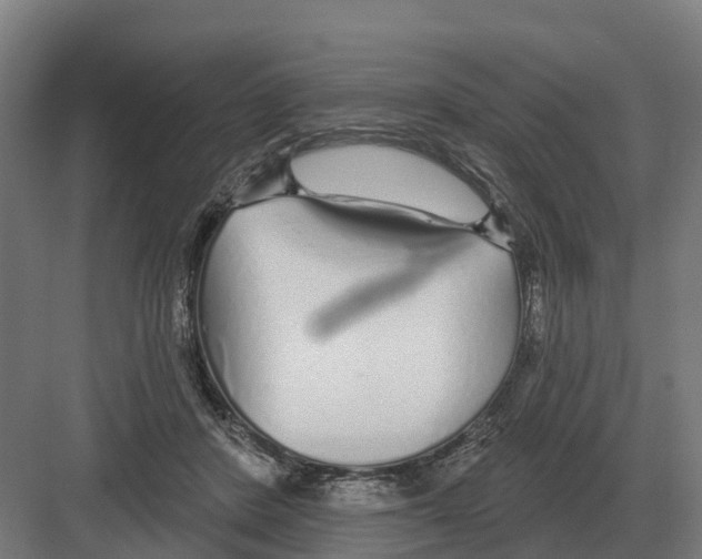 X0000082160408200702162239