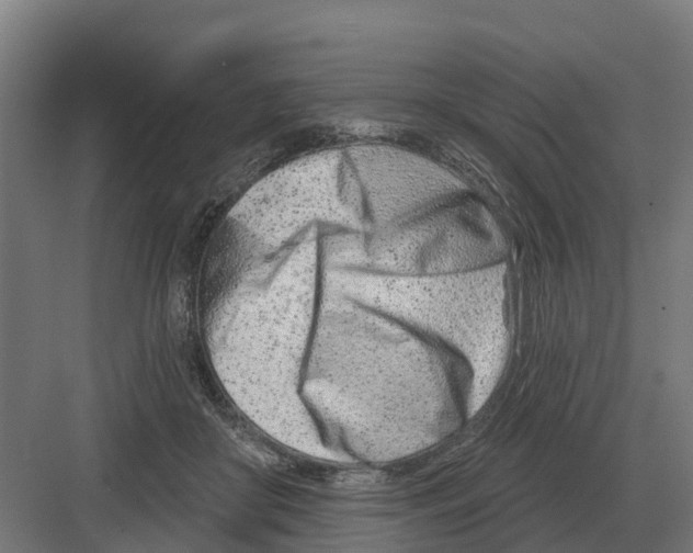 X0000082160410200702162239