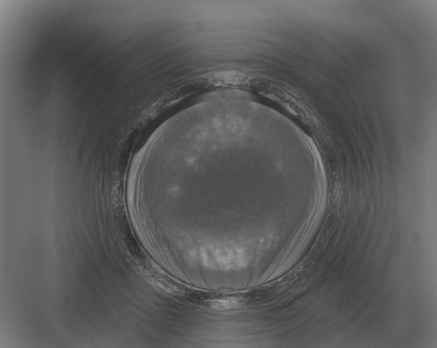 X0000082160411200702162239