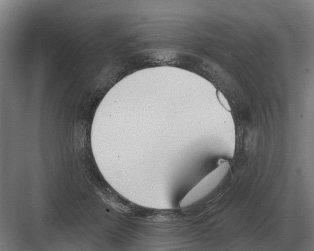 X0000082160412200702162239