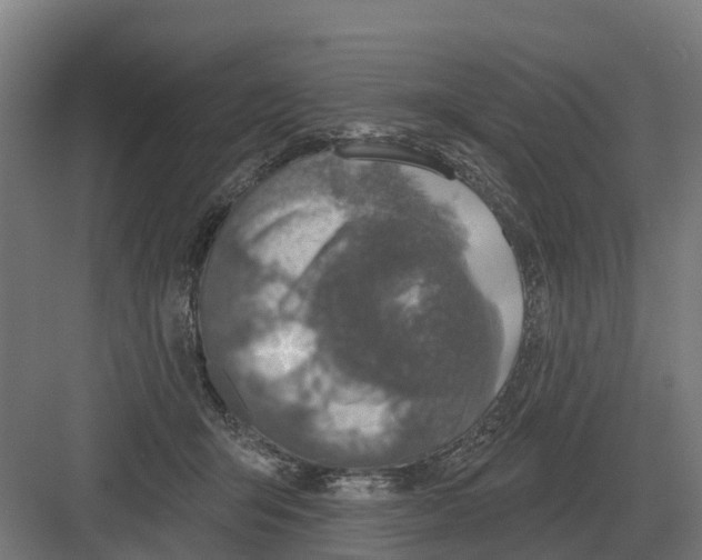 X0000082160415200702162239