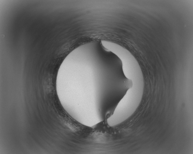 X0000082160416200702162239