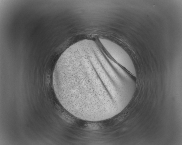 X0000082160417200702162239