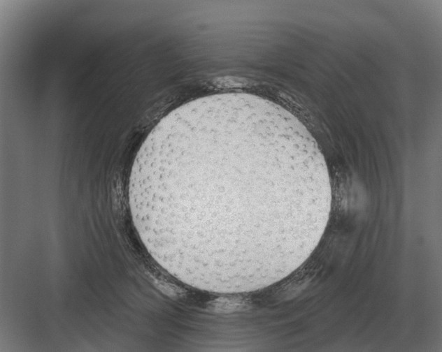 X0000082160418200702162239