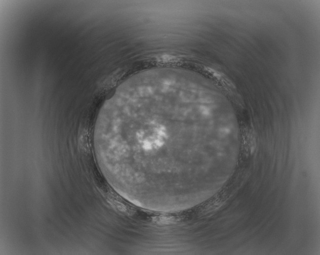 X0000082160419200702162239