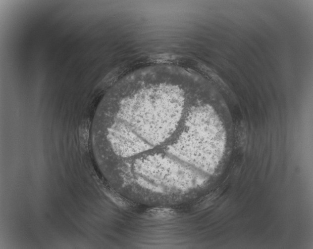 X0000082160427200702162239