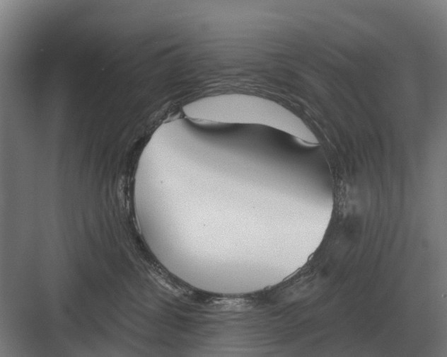 X0000082160428200702162239