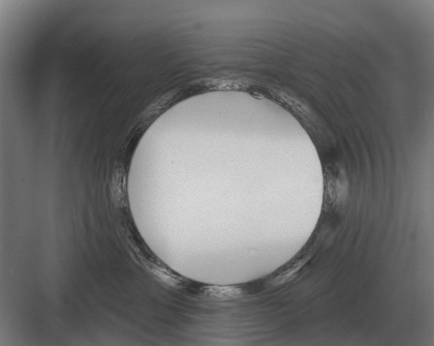 X0000082160429200702162239