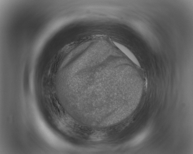 X0000082160431200702162239