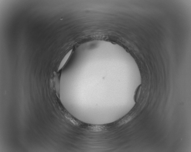 X0000082160432200702162239