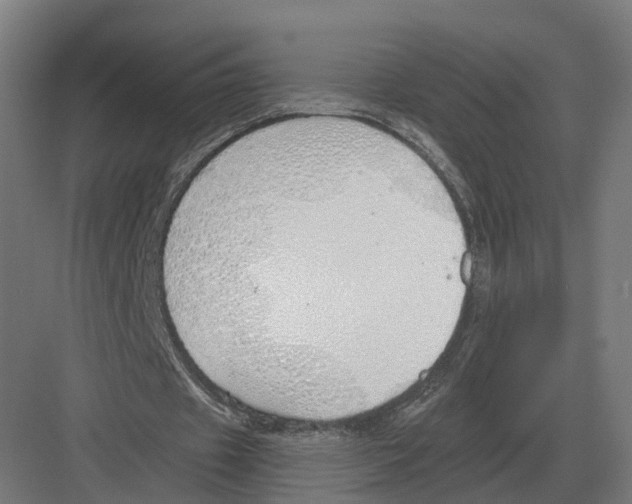 X0000082160433200702162238