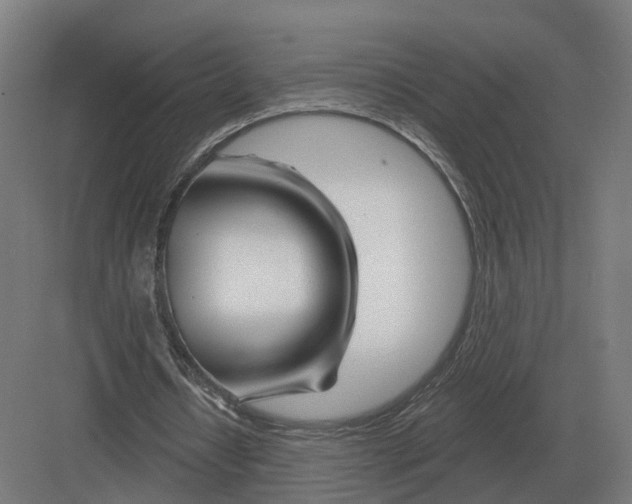 X0000082160434200702162238