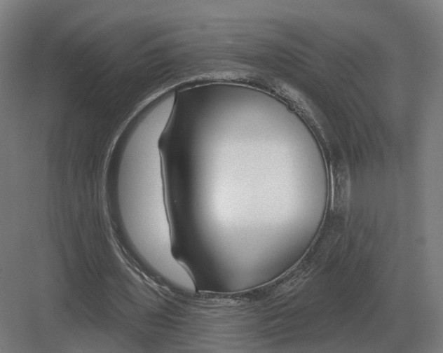 X0000082160435200702162238