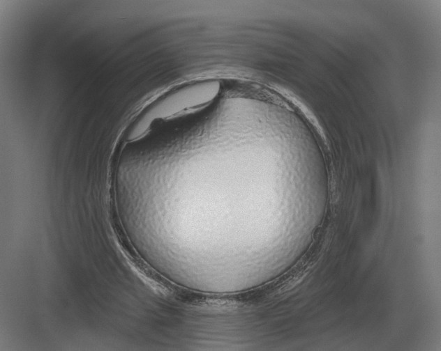 X0000082160437200702162238